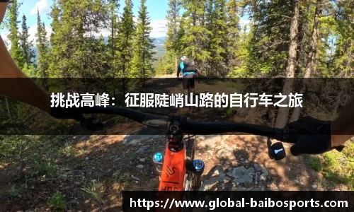 挑战高峰：征服陡峭山路的自行车之旅